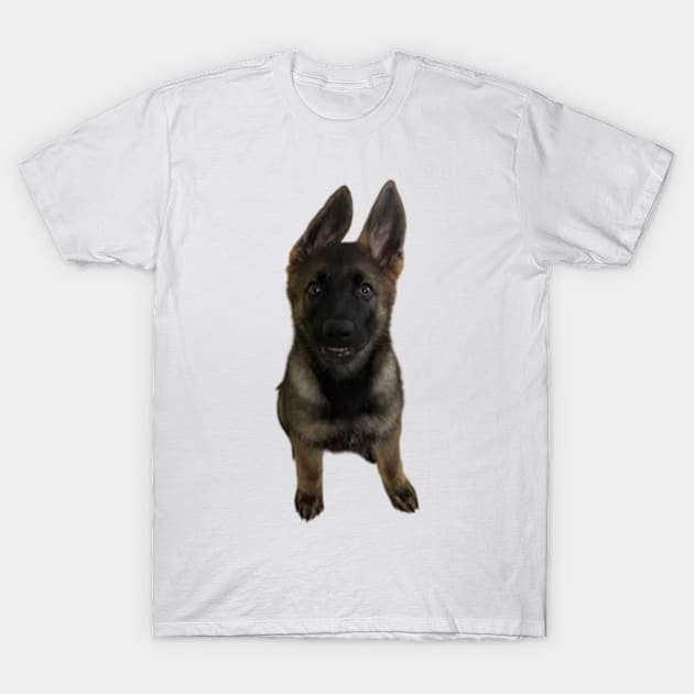 Koda T-Shirt by canderson13